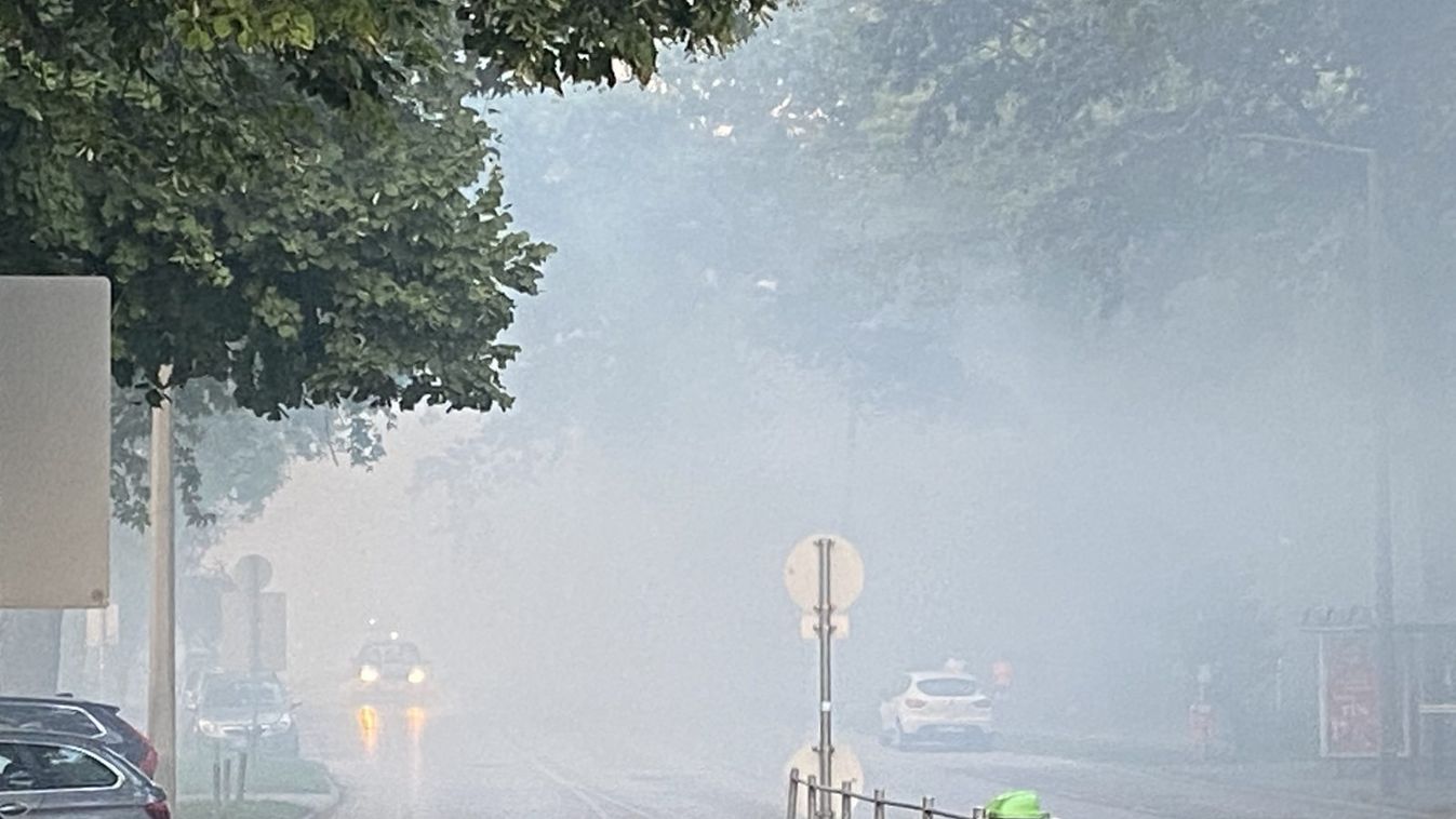 Csütörtökön támadják a szúnyogokat Szegeden