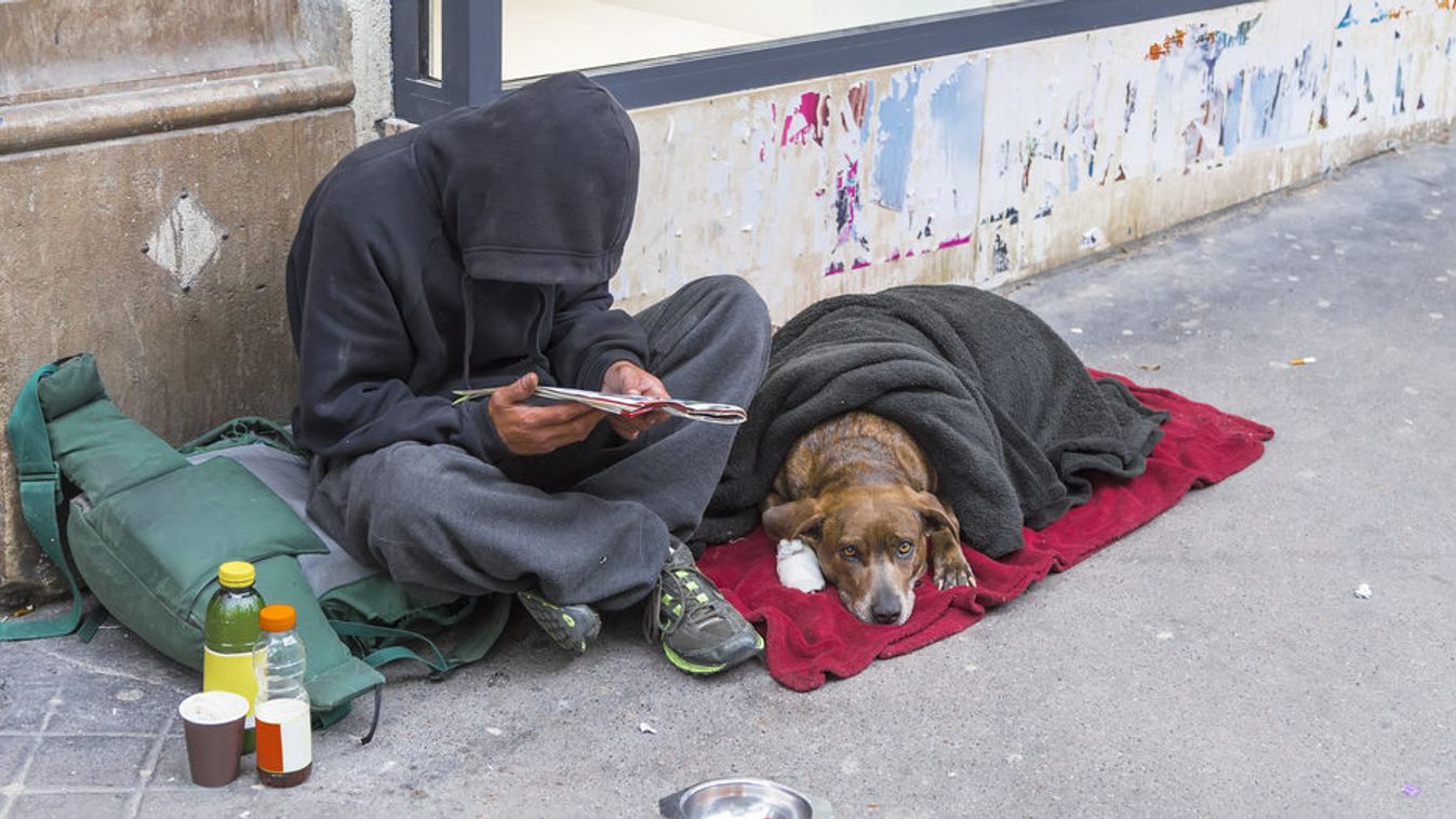 A hajléktalanok körében sikerült elkerülni az egészségügyi katasztrófát