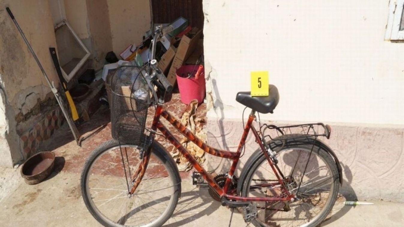 Lopott bringa tulajdonosát keresik a szentesi rendőrök