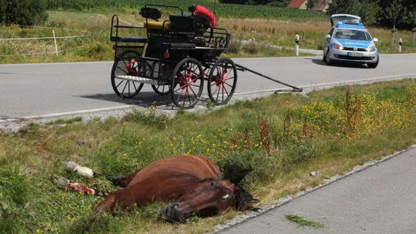 Lovas kocsival karambolozott egy autó Szegeden