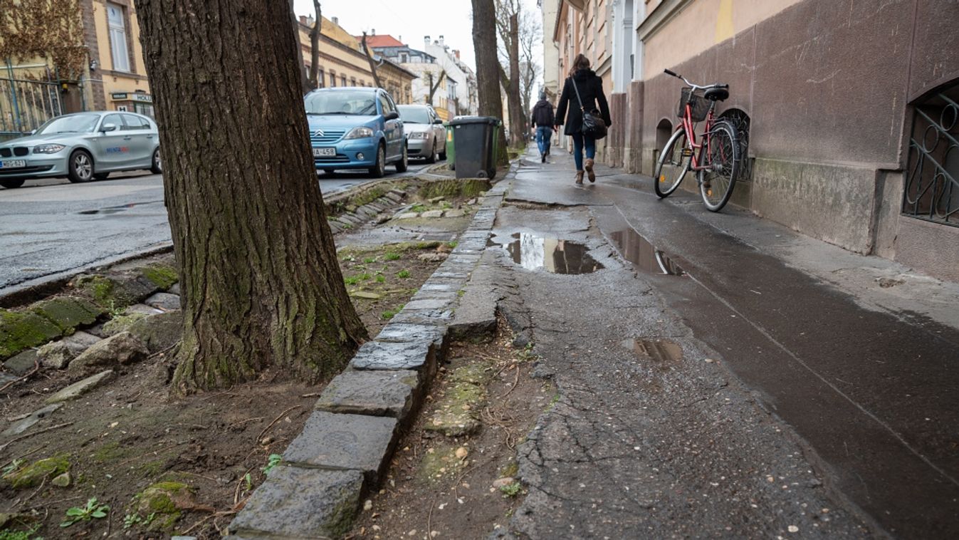 Szétrepedezett járdák keserítik a gyalogosokat Szegeden
