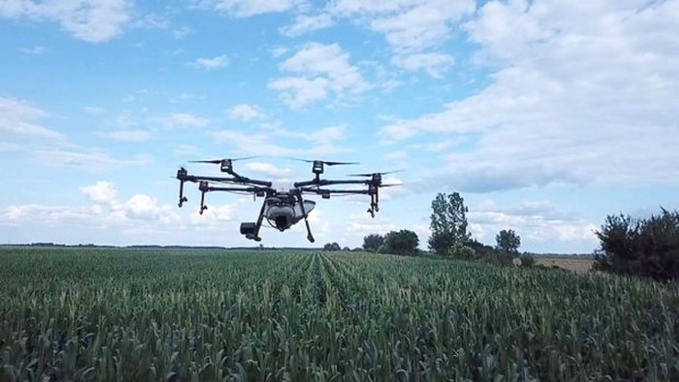 Drón segíti a parlagfűvel szennyezett területek felderítését Csongrádban