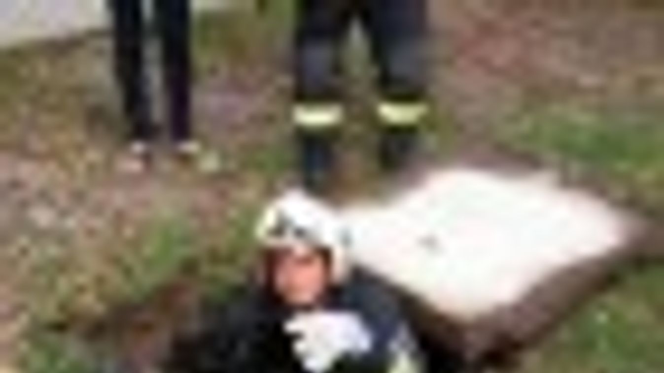 Csatornába szorult egy kiskutya - a csongrádi tűzoltók mentették meg