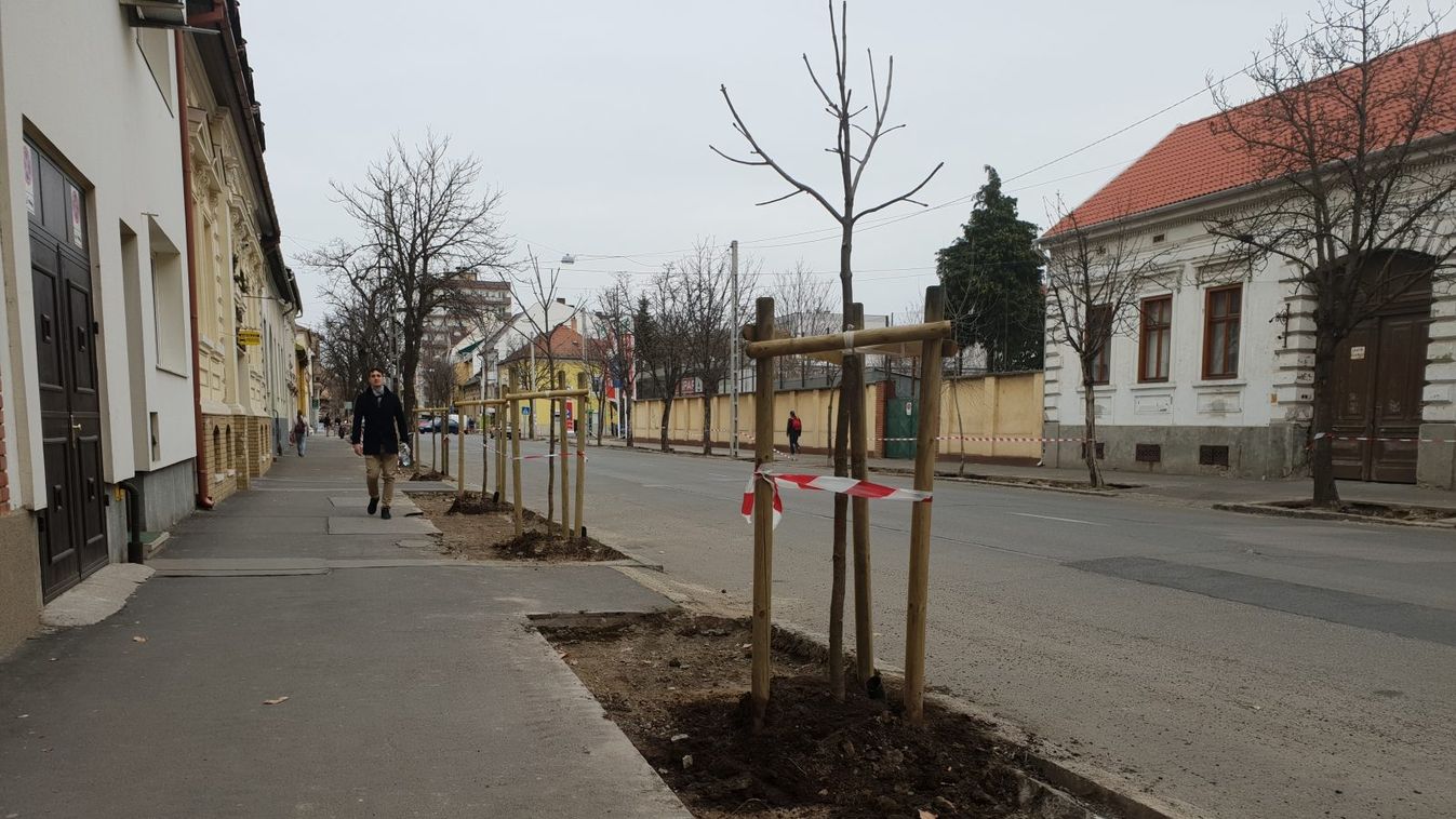 Már ültetik a fákat a Szentháromság utcán