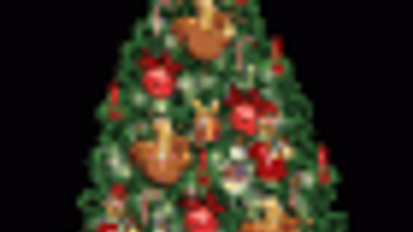 A karácsonyfát 1500-2000 hektáron termelik Magyarországon