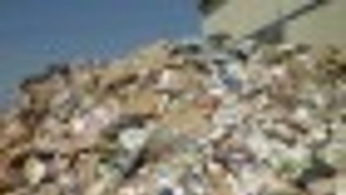 Száz köbméternyi hulladékot takarítottak össze a fővárosi közterületeken szilveszter után
