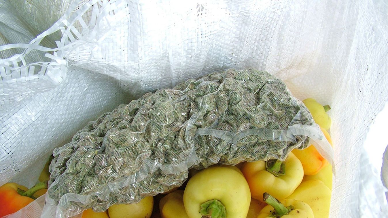 23 kiló marihuánát találtak paprika közé rejtve egy buszban Röszkén
