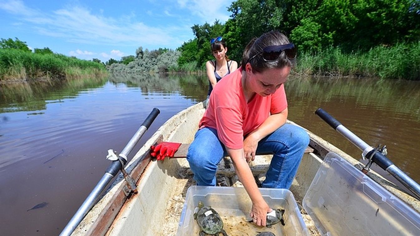 Késedelmet szenvedhet a Holt-Tisza rehabilitációja