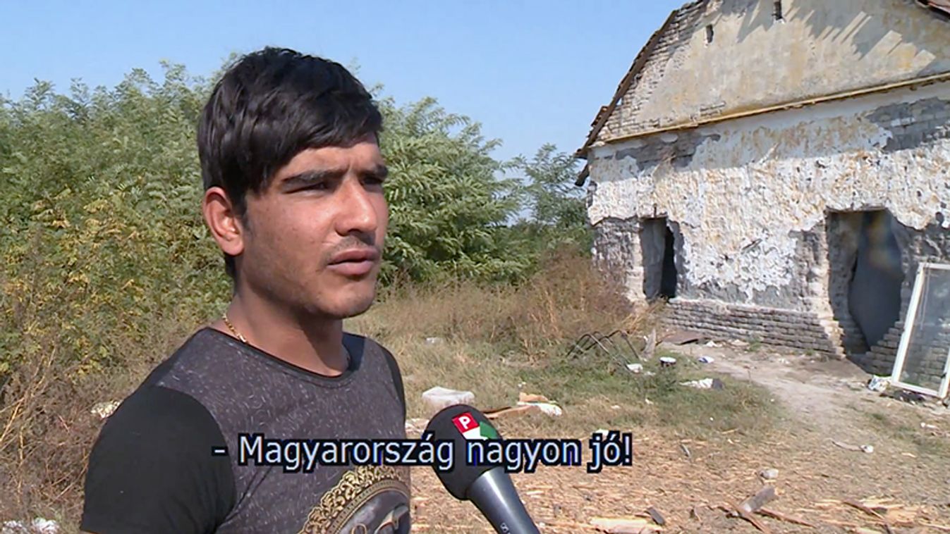 Afgánok a horgosi tanyavilágban: a cél Magyarország