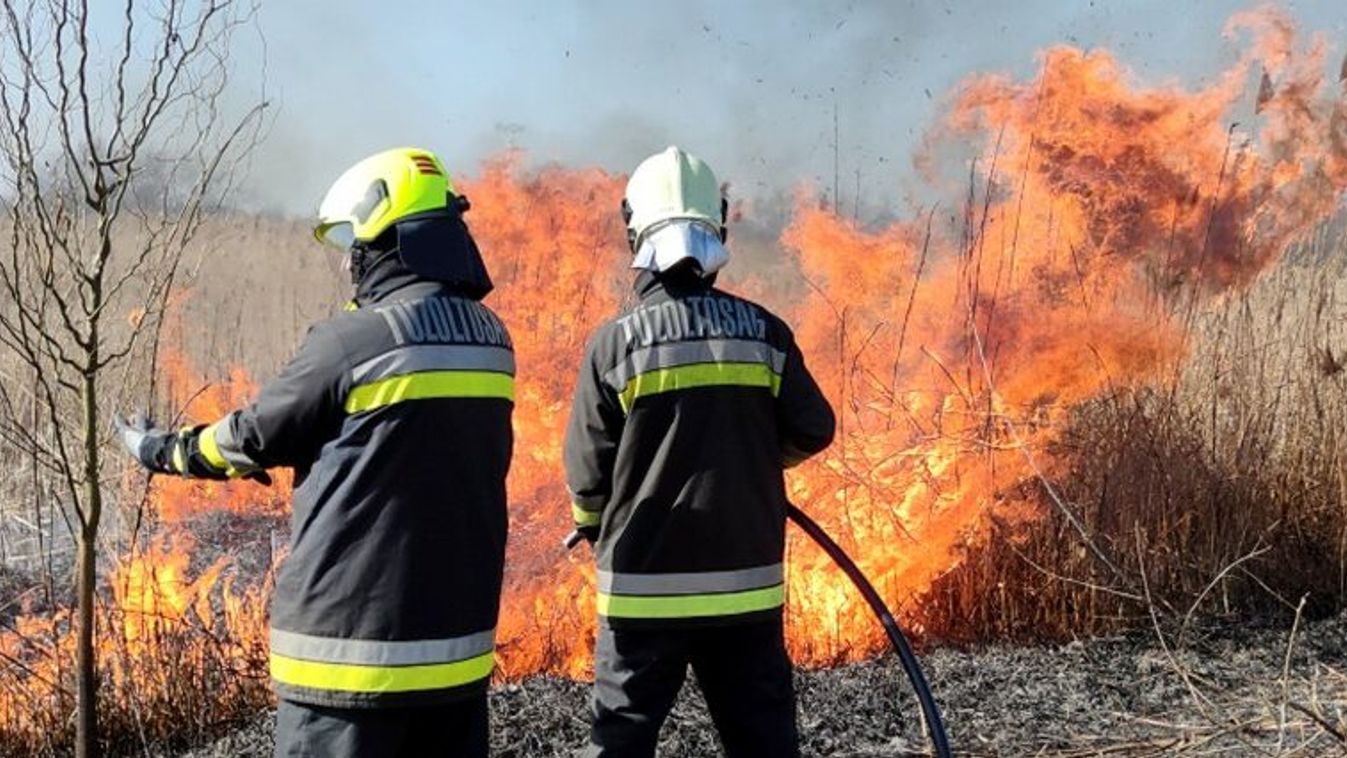 Négy tűzesettel küzdöttek meg a Csongrád-Csanád megyei lánglovagok tegnap