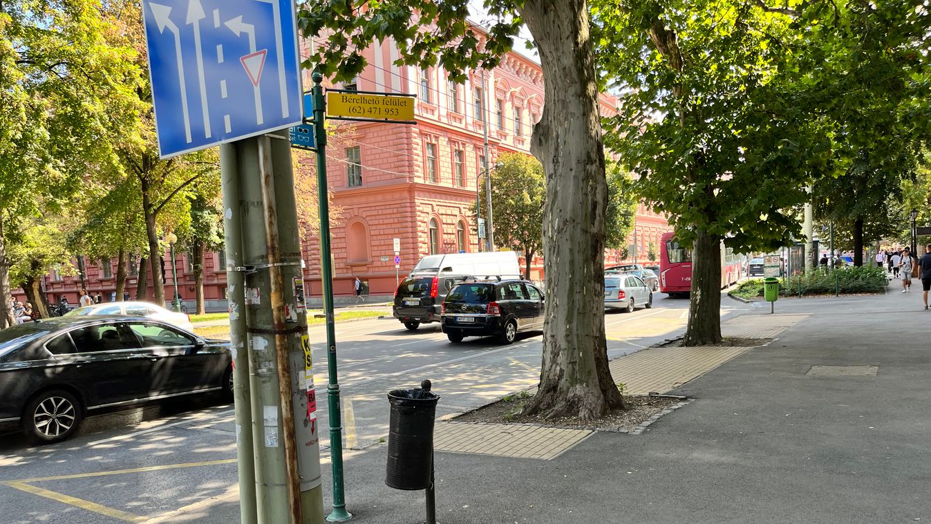 Szegedi sajátosság: az Aradi vértanúk terén egy fa tövébe nyílik a trolibusz ajtaja