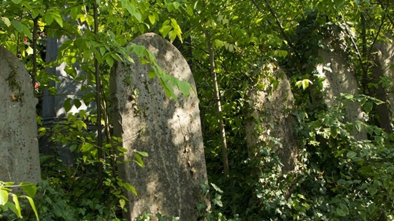 Nem kímélték a viharok a szegedi zsidó temetőt