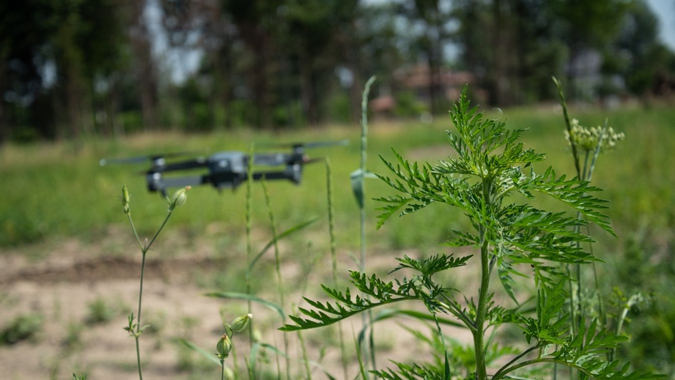 Parlagfű: megszűnt a „türelmi idő”, drónokkal harcolnak a szabálysértők ellen
