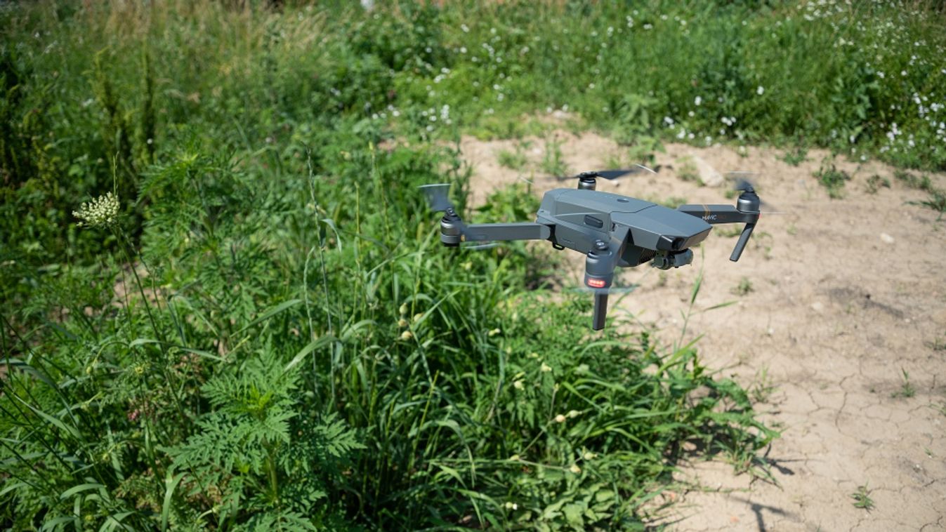 Helikopteres parlagfű-felderítést végeztek Csongrád megyében