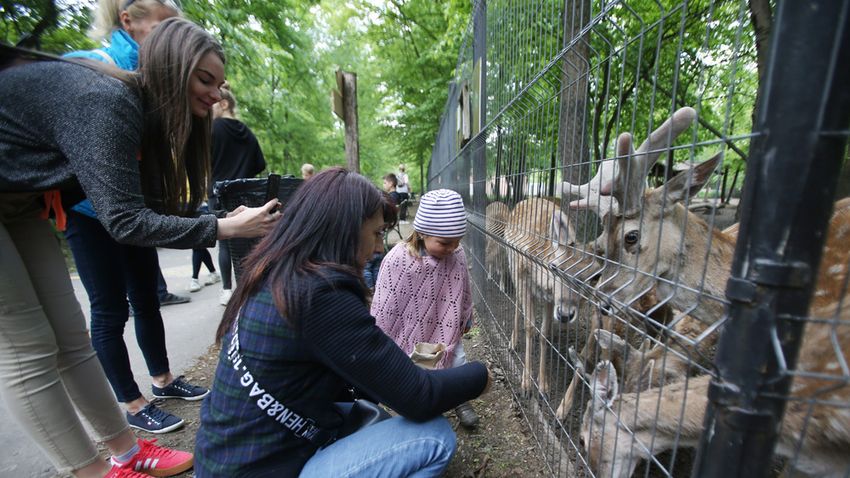 Állatok világnapja a Vadasparkban
