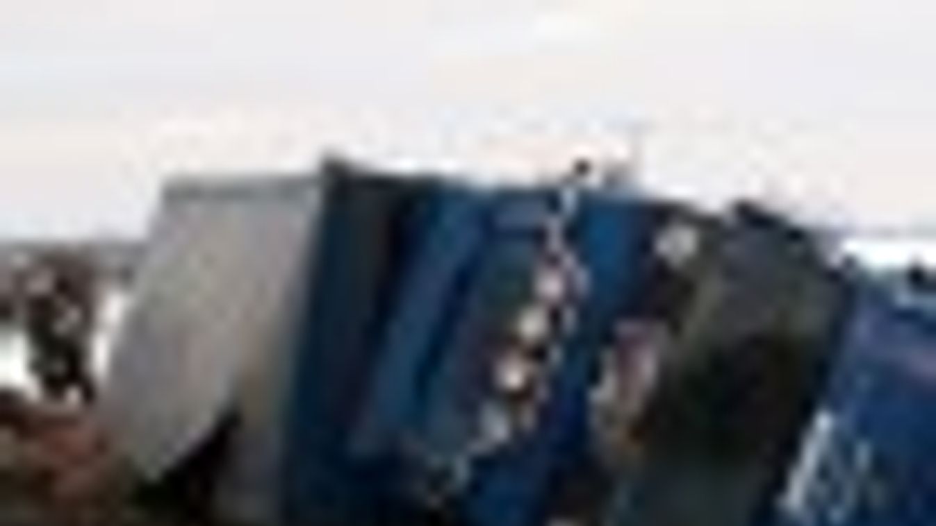 Felborult egy kamion - disznók rohangáltak az M5-ösön