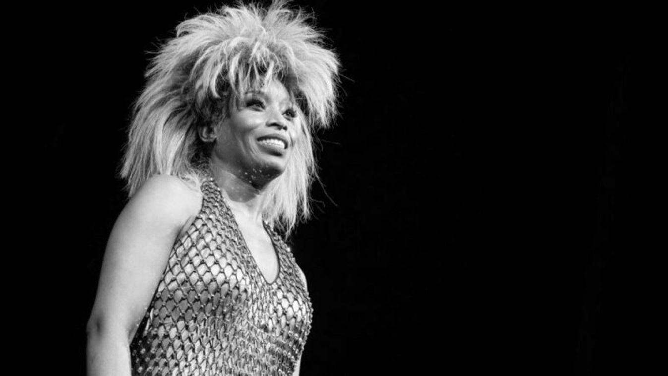 Elhunyt Tina Turner