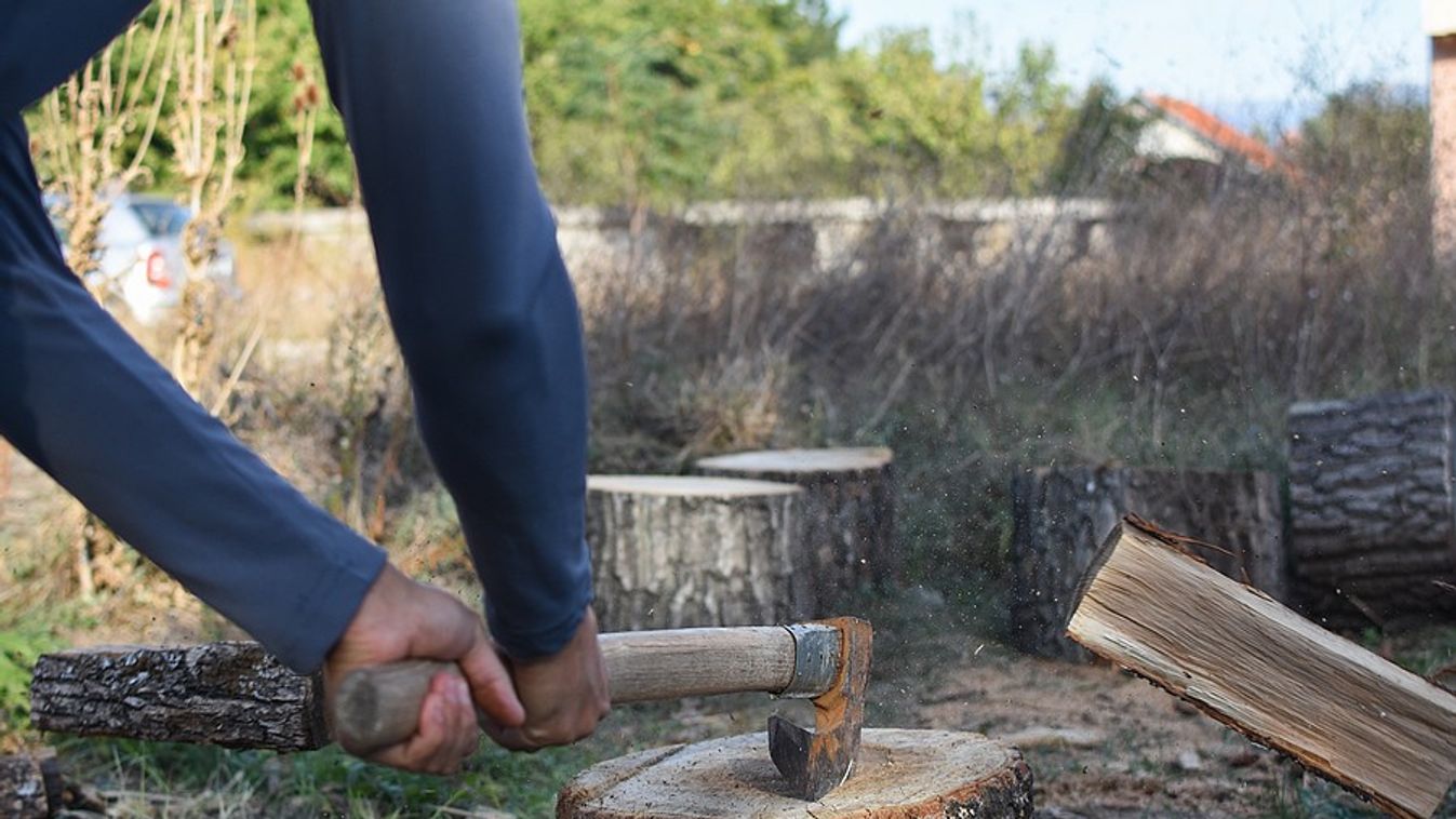 Tanyája felújításához lopott fát egy ásotthalmi "építész"