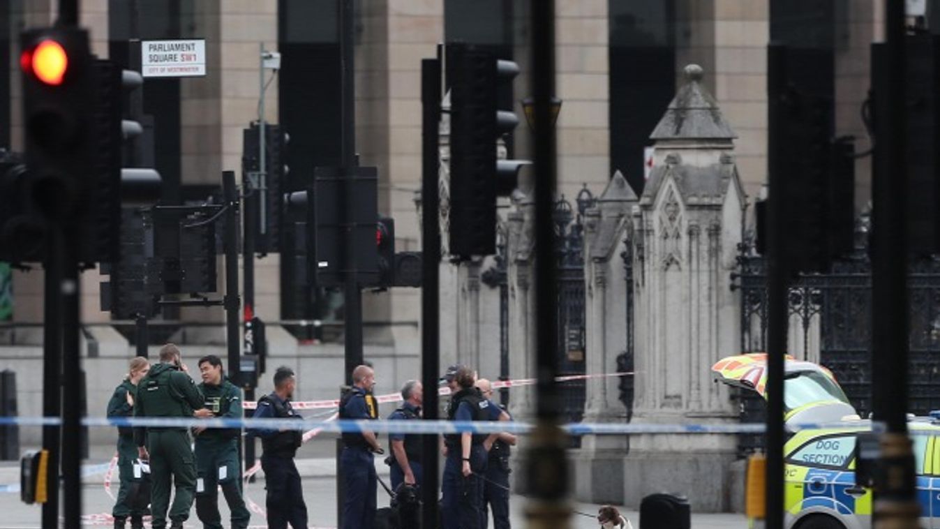 A biztonsági kordonokba hajtott egy autós a londoni parlamentnél