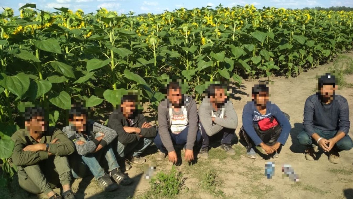 Tizenhárom bevándorlót tartóztattak fel Ásotthalomnál
