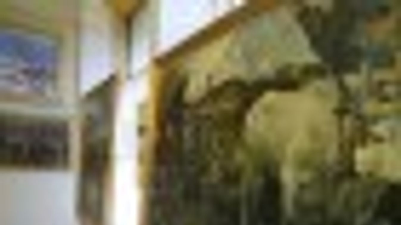 Az Erdélyi Panoráma részleteit mutatják be Ópusztaszeren + FOTÓK