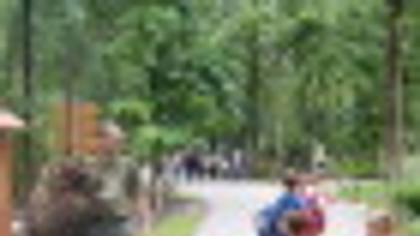 A vadaspark látogatói között sétál Misi, a tevecsikó