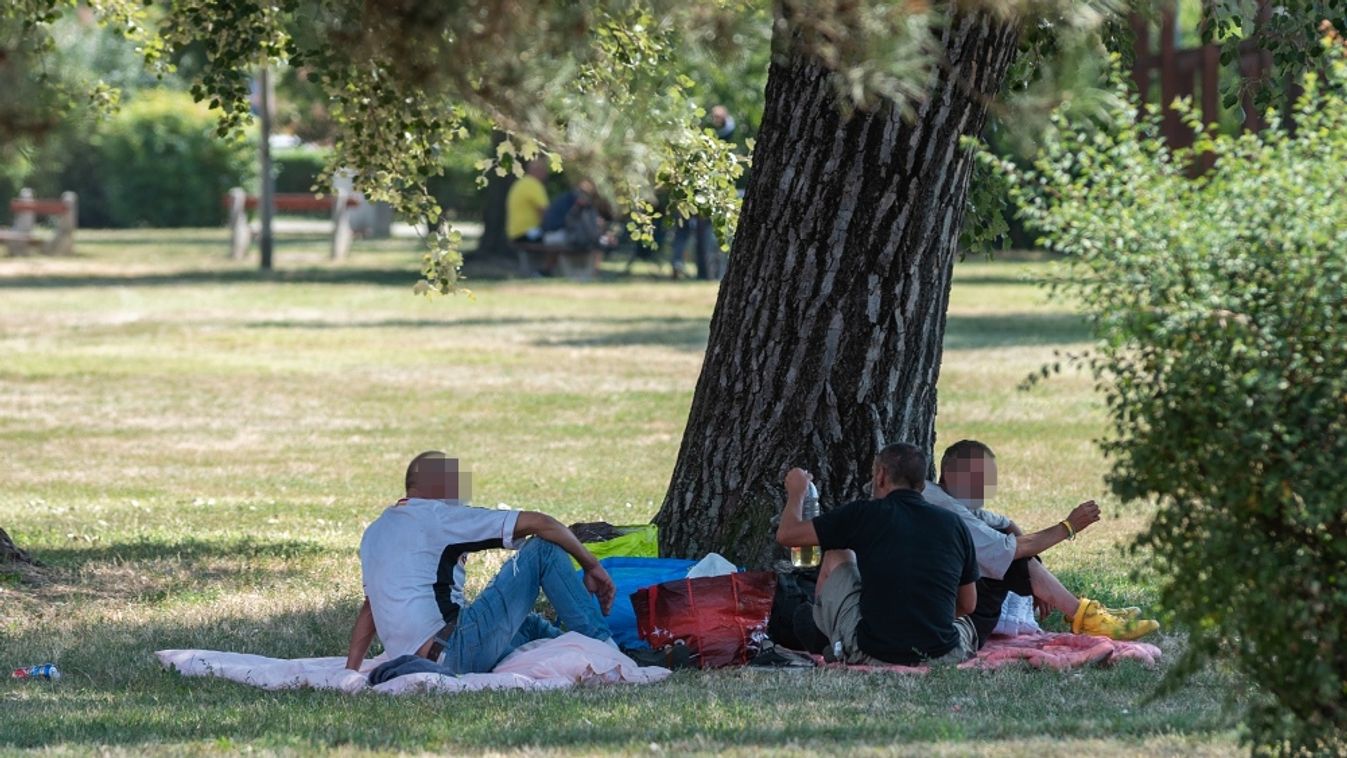Sok szemetet hagynak maguk után a piknikező hajléktalanok