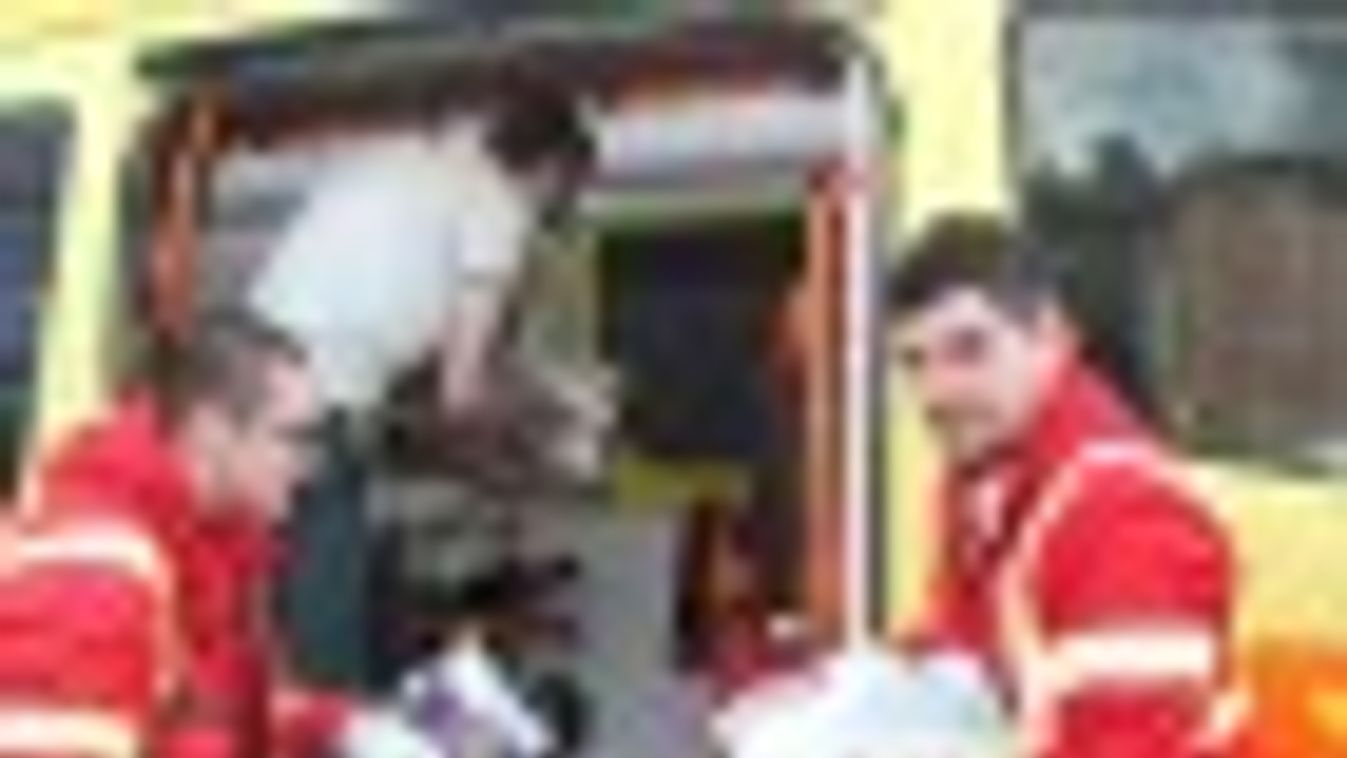 Plüssmackók asszisztálnak a szegedi mentőautókban