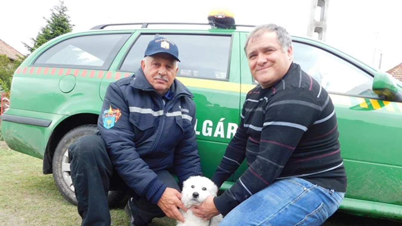 Kuvasz kutyákkal erősítenek a polgárőrök