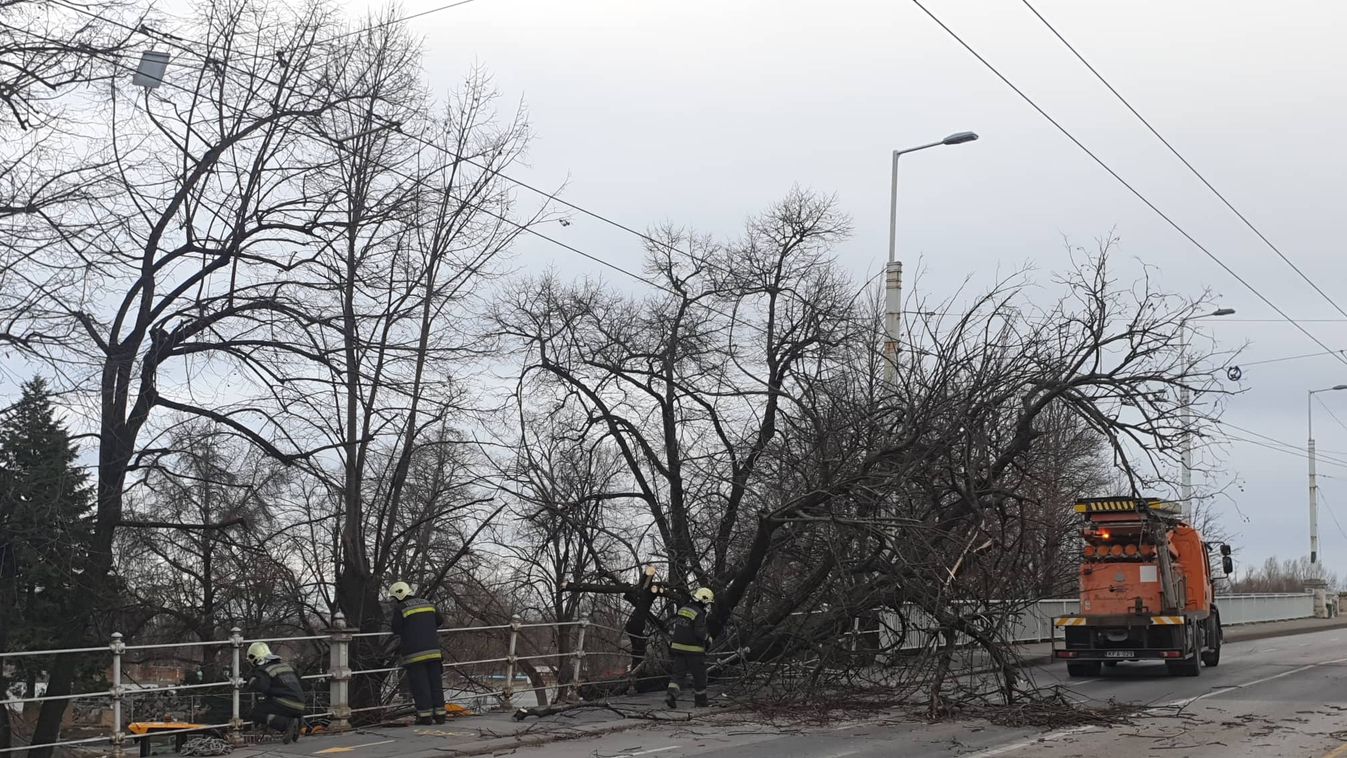 Megjött a szélvihar – teljes a káosz Szegeden