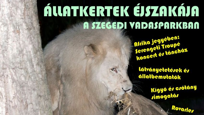 Állatkertek éjszakája a Vadasparkban