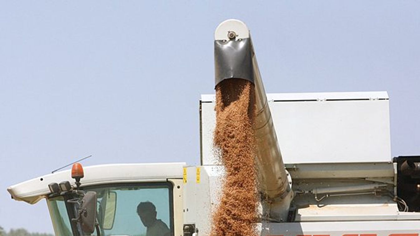 Néhány helyen csúszik az aratás Csongrád-Csanádban