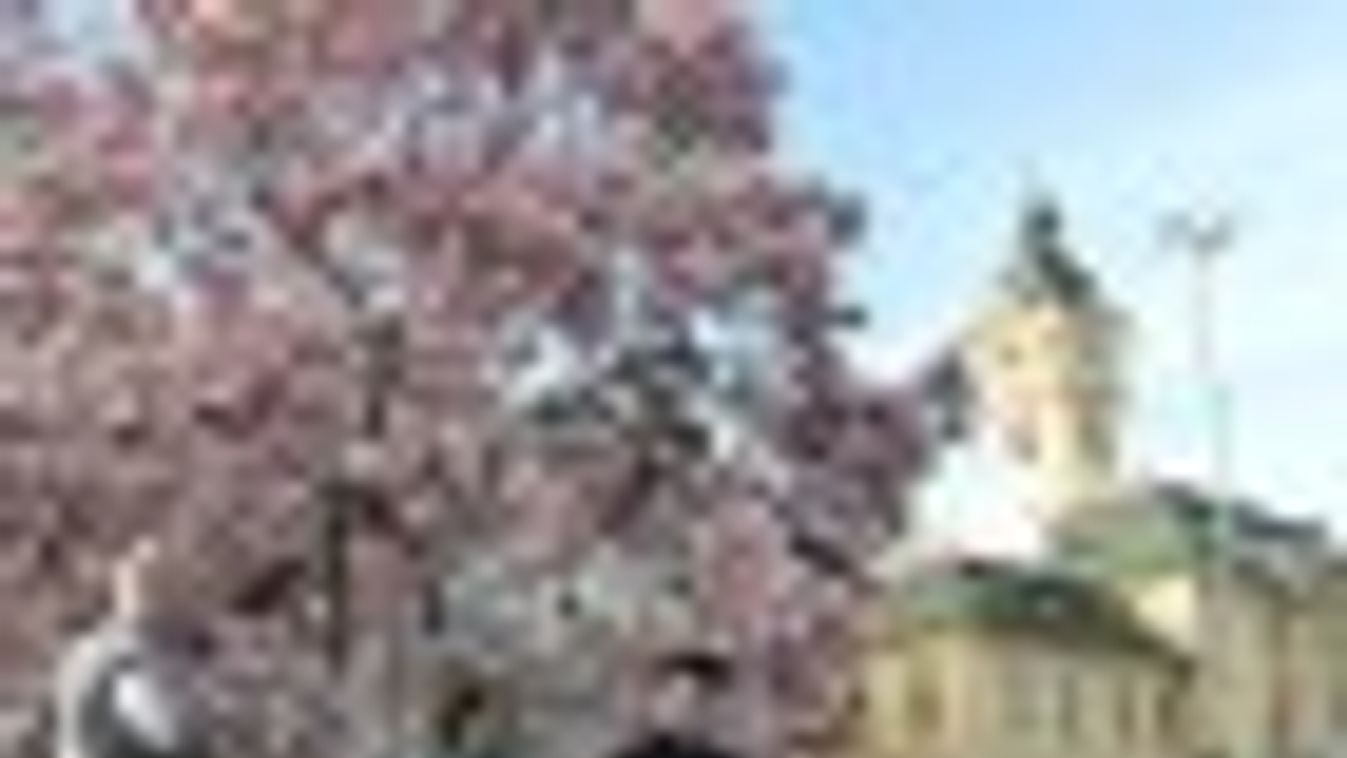 Tavaszt köszöntöttek a Széchenyi téren a Bonifert-iskola növendékei + FOTÓK