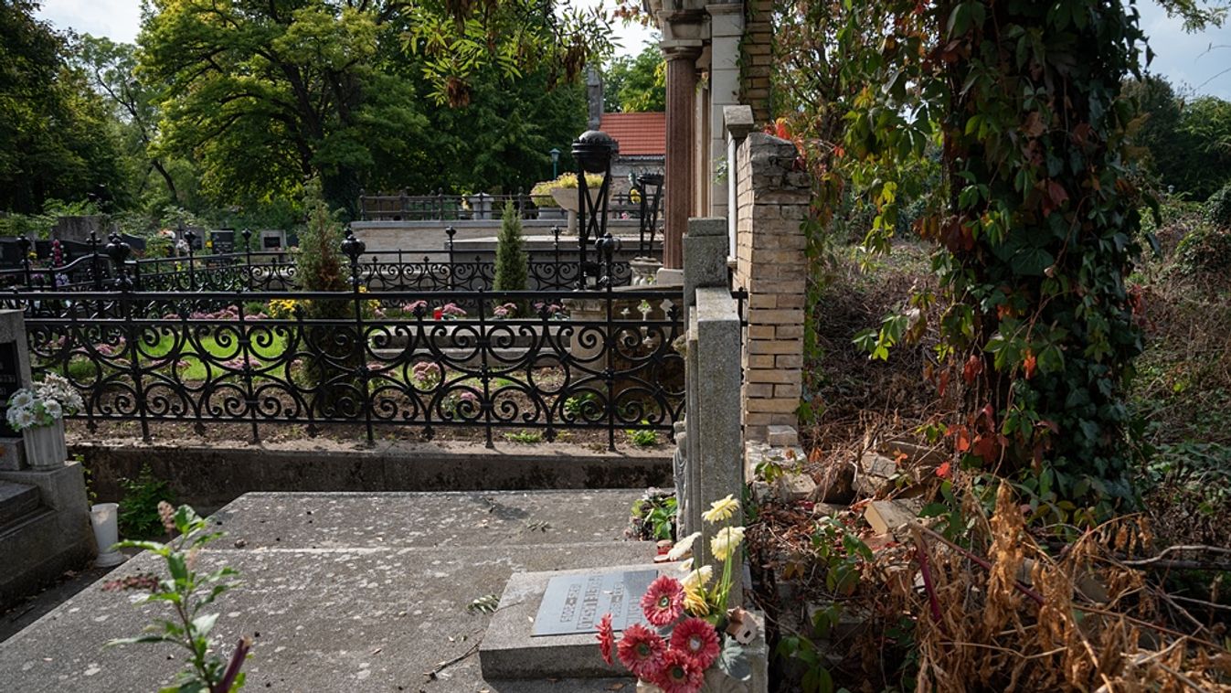 Elhanyagolt sírokra panaszkodnak a Belvárosi temetőben
