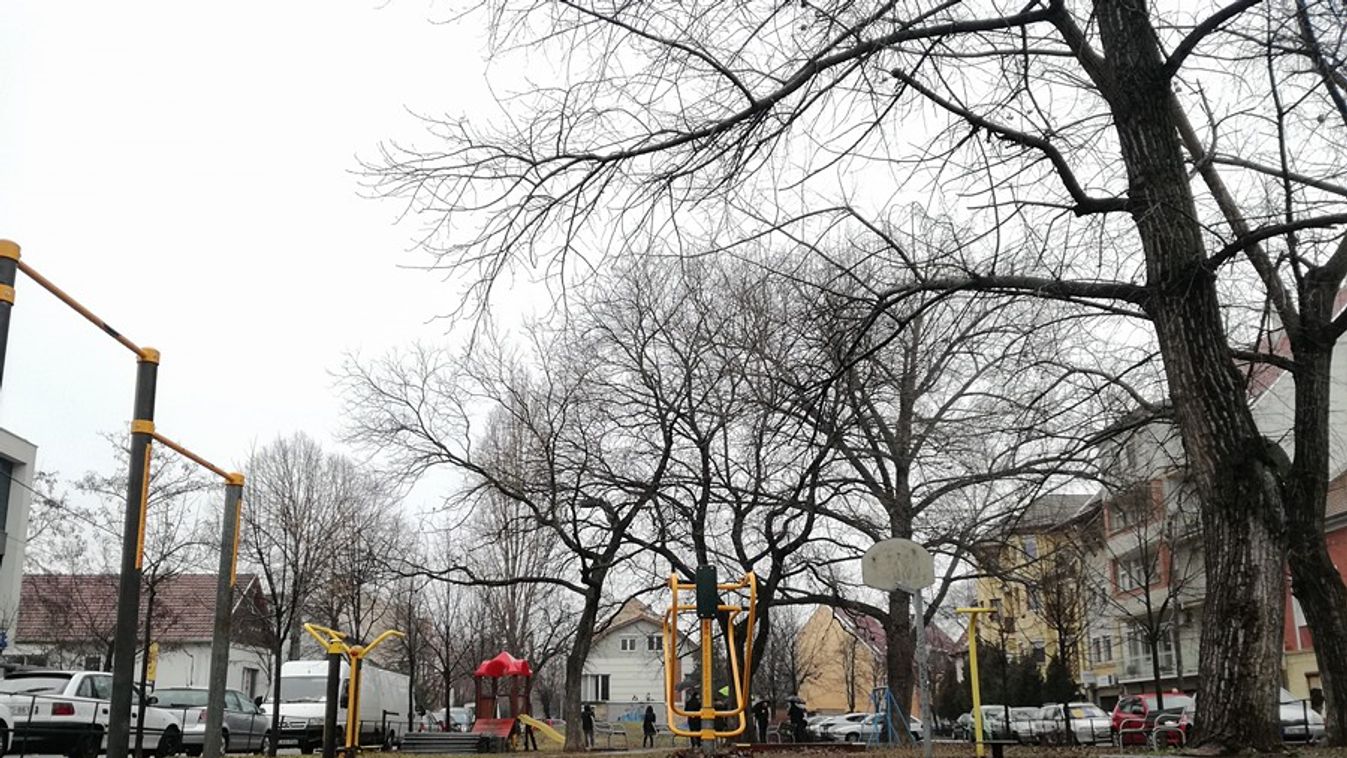 Sportpálya és játszótér is helyet kap a felújított Klapka téren Szegeden