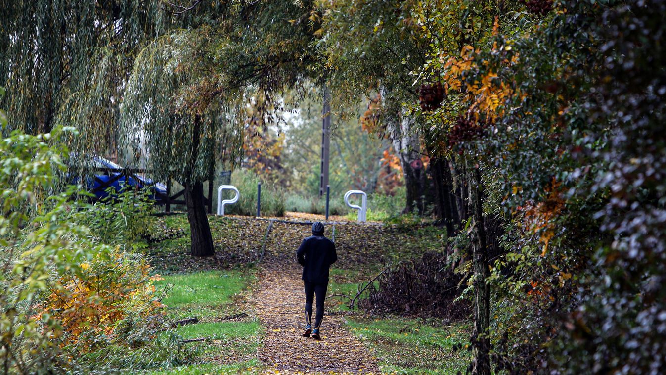 Lebilincselő az őszi színkavalkád Szegeden