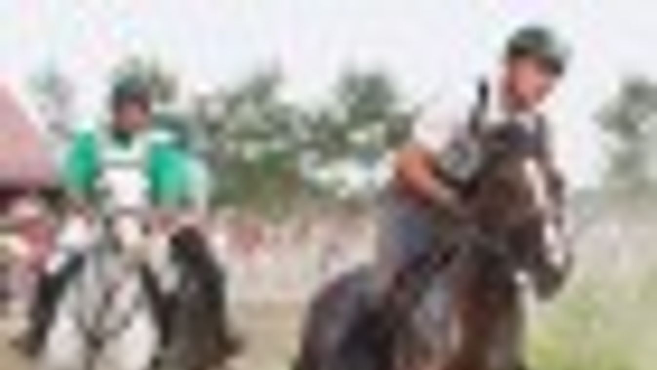Budapesti lovas a 2012-es Nemzeti Vágta győztese