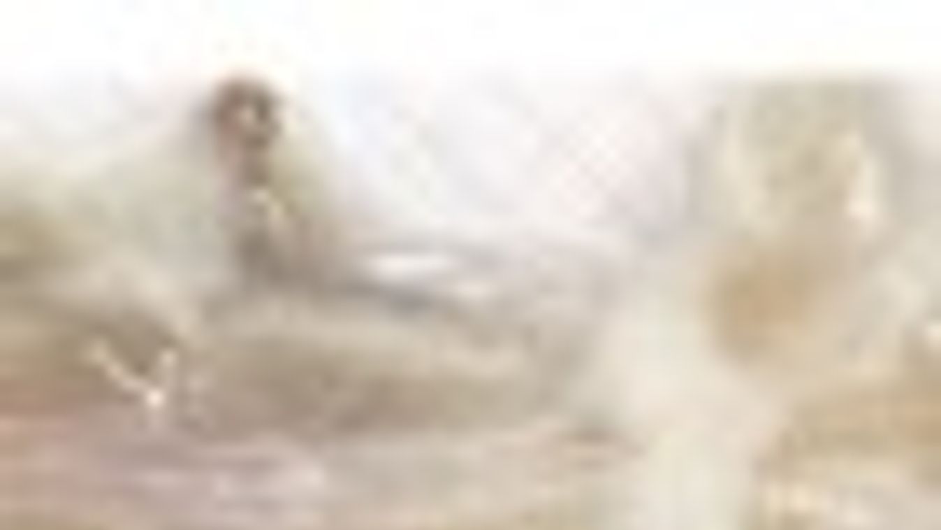 Átlátszó egér segíthet az emberi szervezet gyógyításában