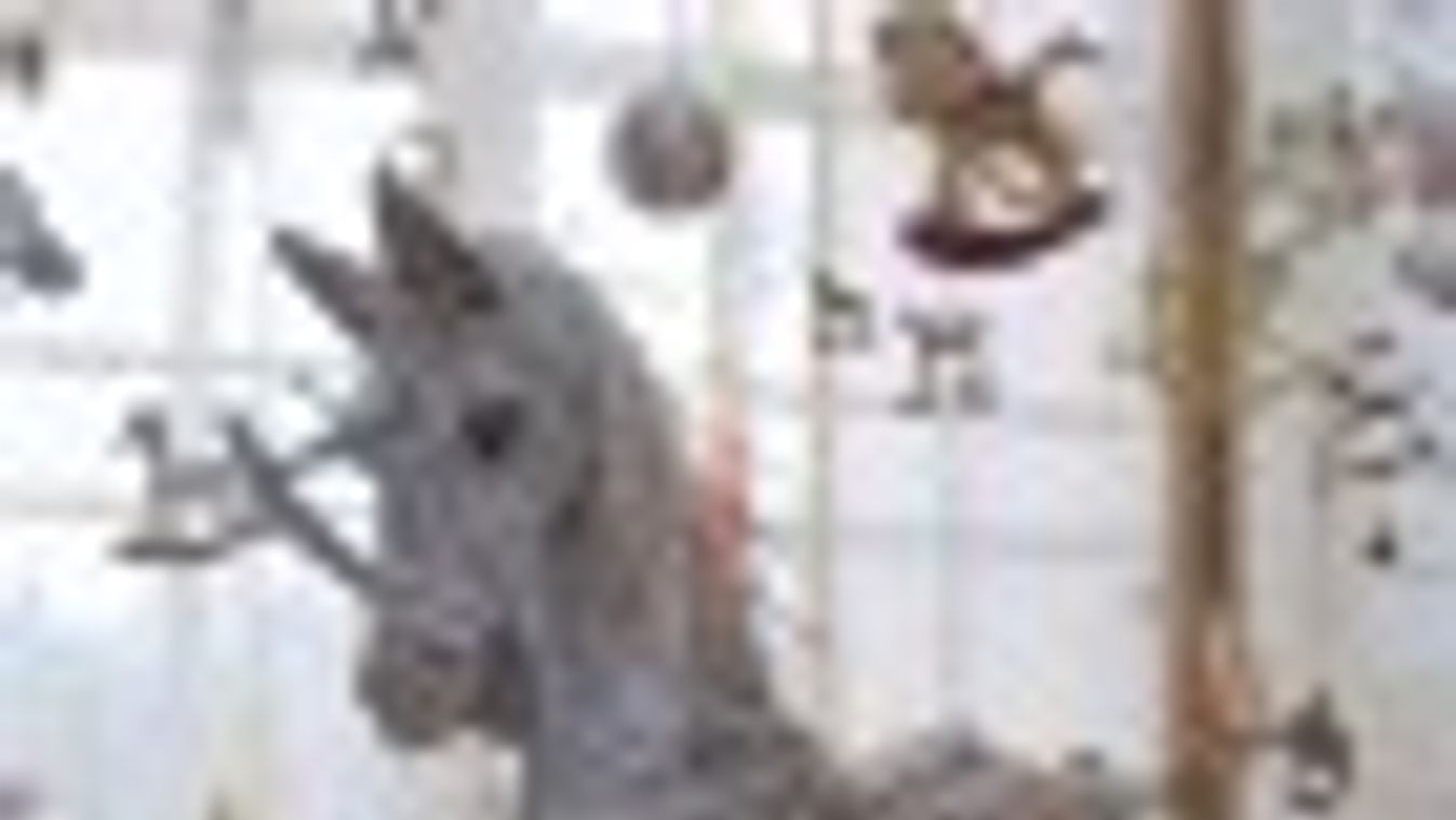 Kalandvágyó hintalovasokat várnak a Móra-múzeumban