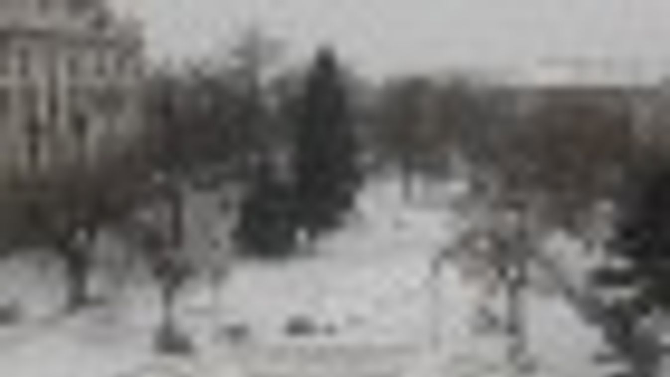 Ismét hull a hó Csongrád megyében + FOTÓK