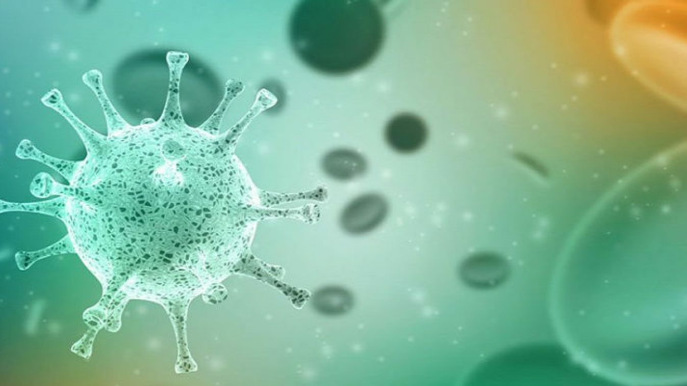 Koronavírus: 65 új fertőzött és 4 halott a hétvégén