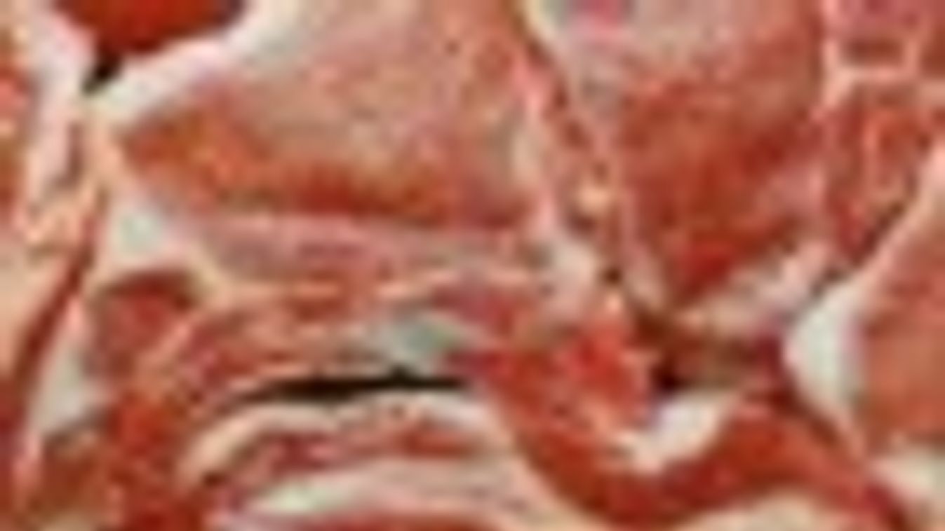 A vörös és a feldolgozott húsok növelik a bélrák kockázatát