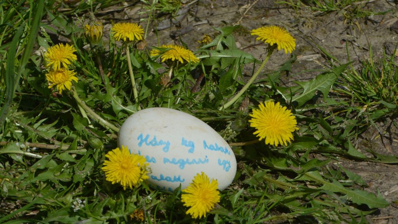 Két év után ismét lesz húsvéti tojásvadászat a Szegedi Vadasparkban