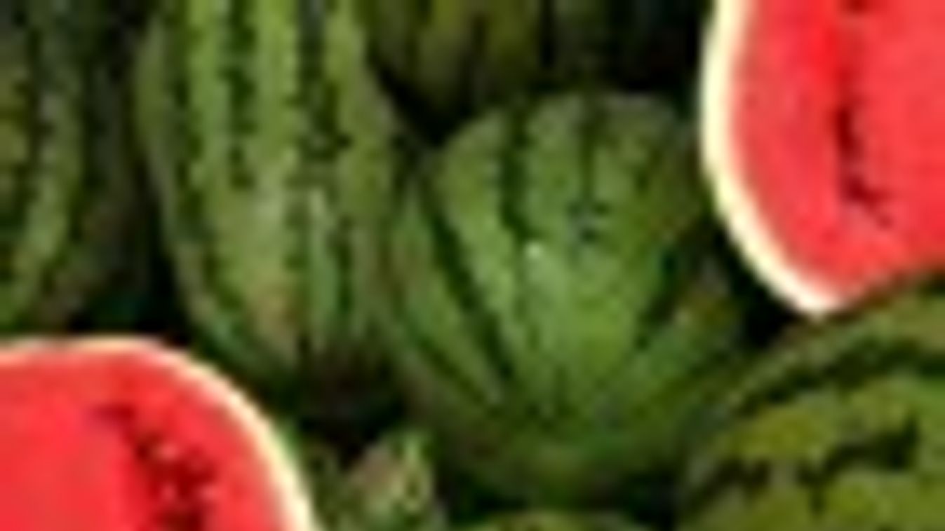 Agrárkamara: túlkínálat van görögdinnyéből Európában