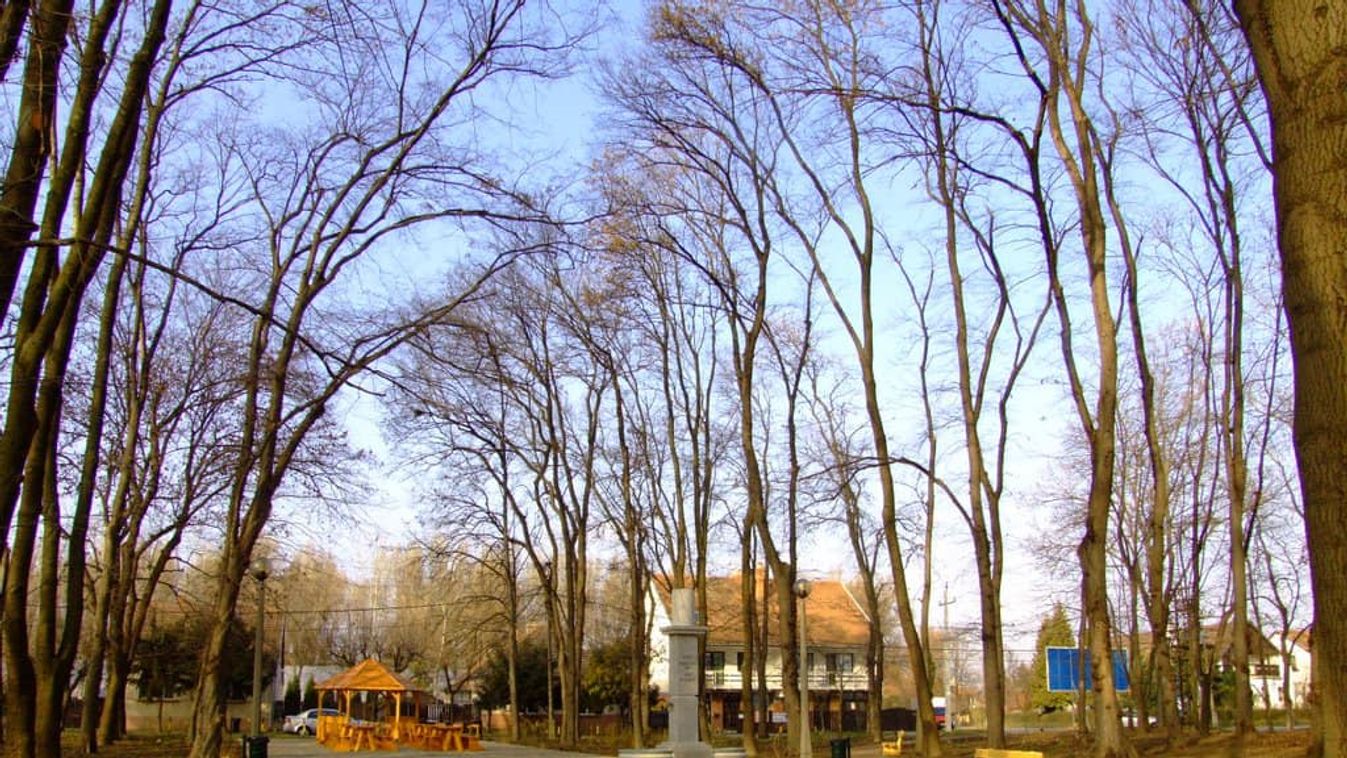 Új játszótér és fitness park épülhet Szegeden