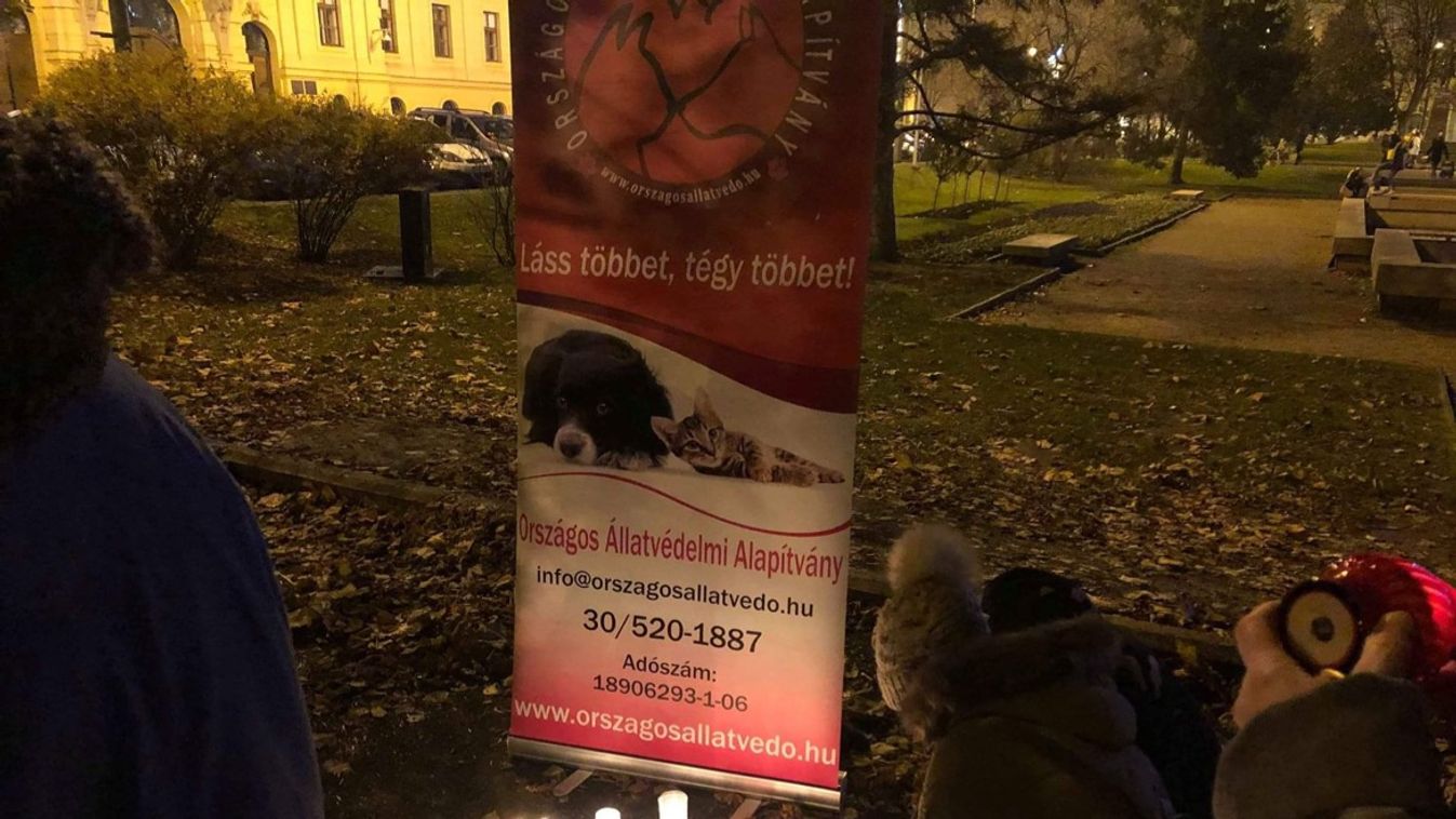 Gyertyát gyújtanak a hontalan állatokért Szegeden