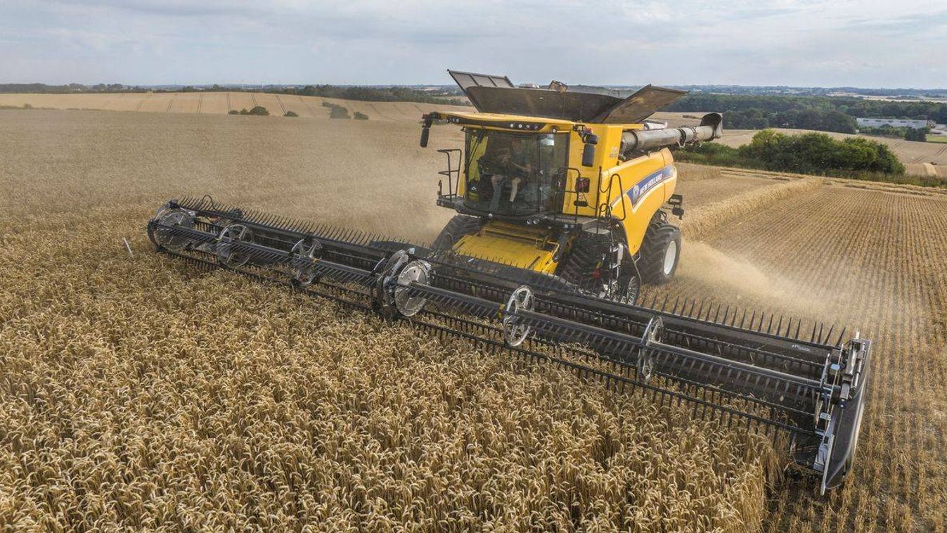 Jobban teljesített idén a magyar mezőgazdaság