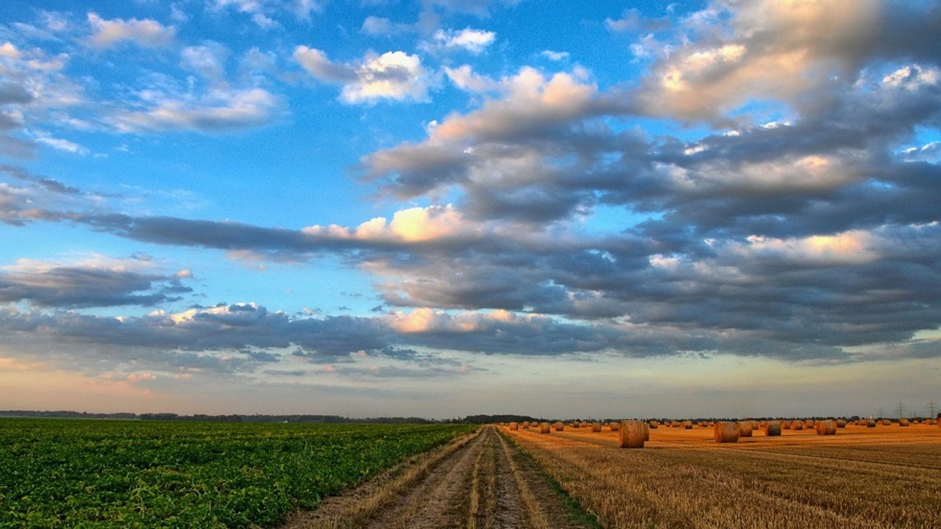 Rekordösszegű agrárkifizetés a magyar mezőgazdaságban idén