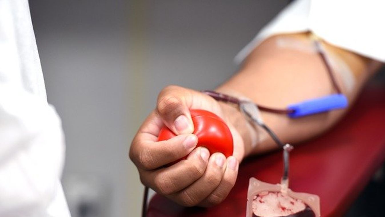 A vártnál többen adtak vért Szegeden