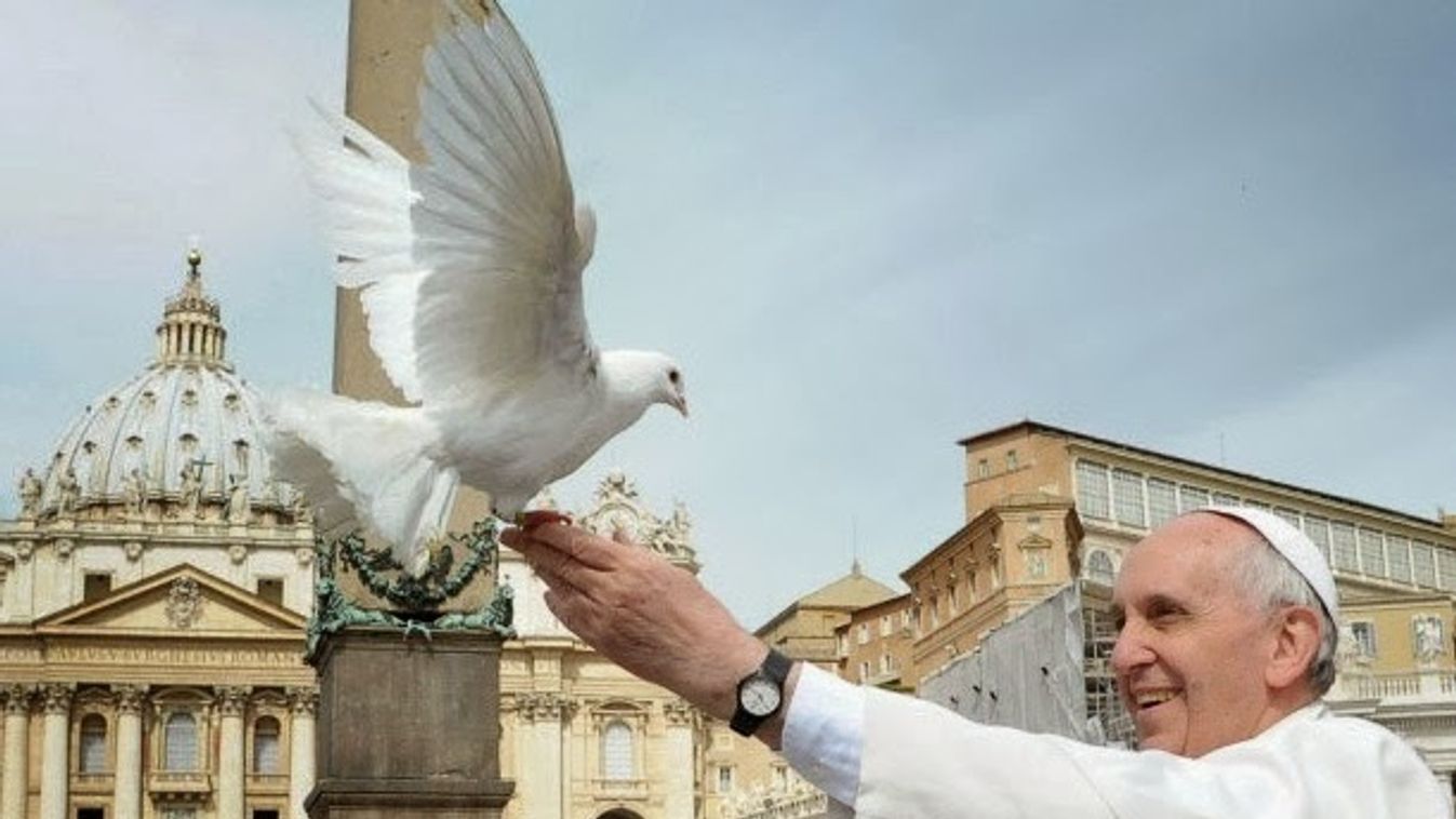 Ferenc pápa: Ukrajnának elég bátornak kell lennie a fehér zászlóhoz
